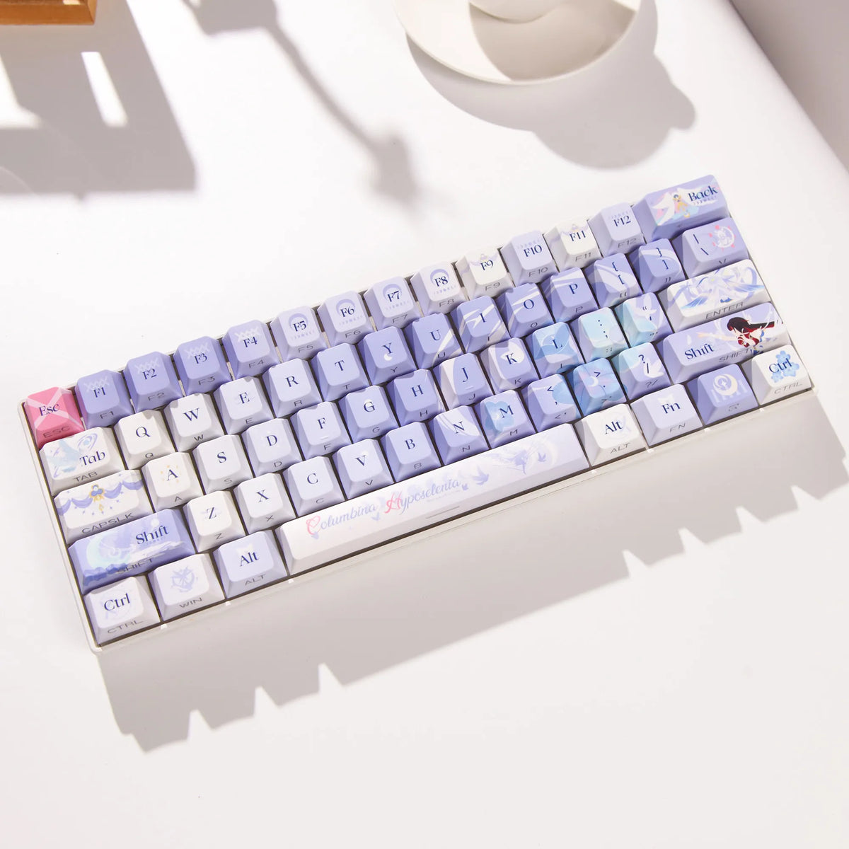 Columbina PBT keycaps, Cherry profile option, installed on a mechanical keyboard
